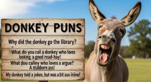 donkey puns